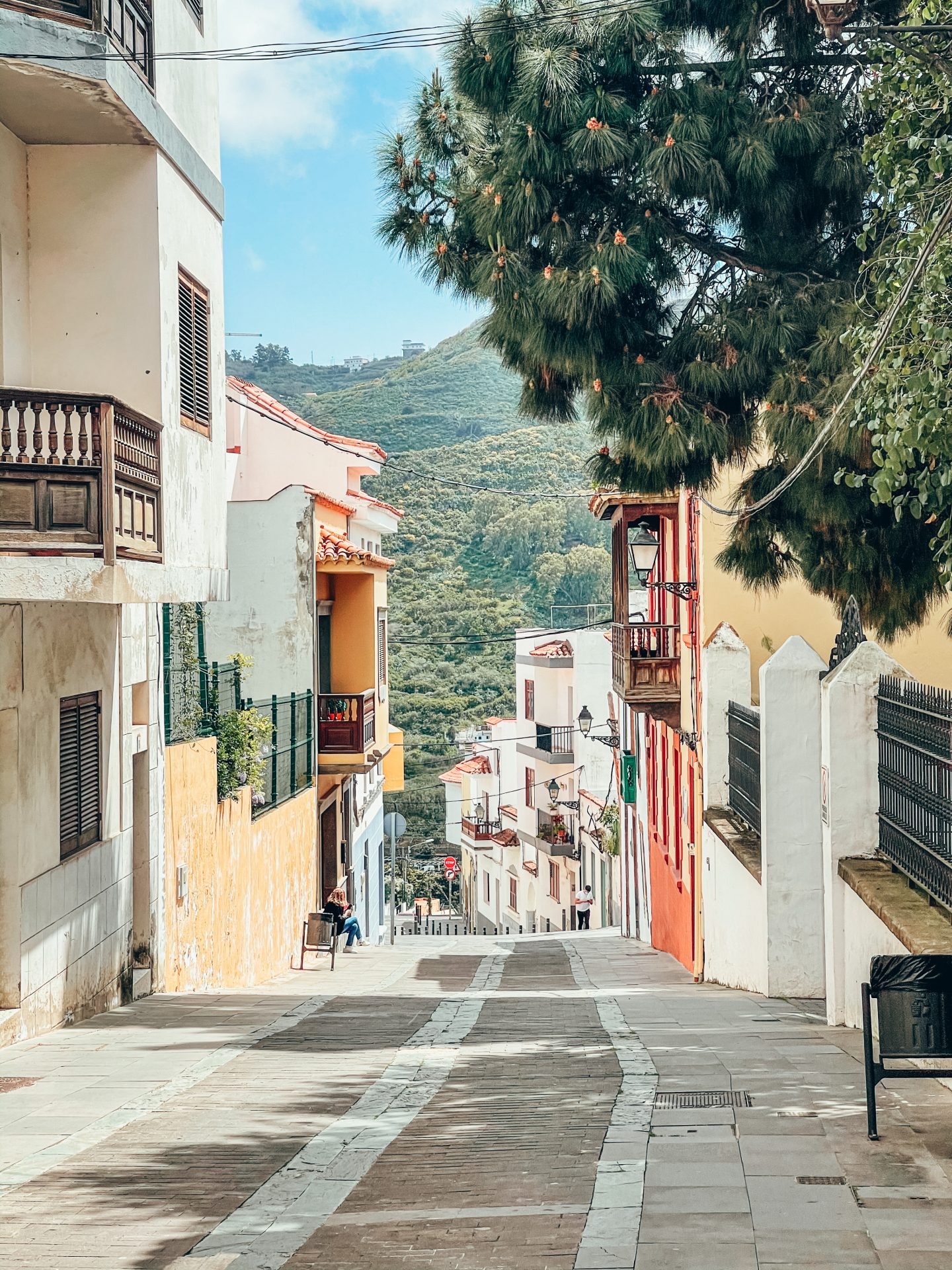 teror gran canaria