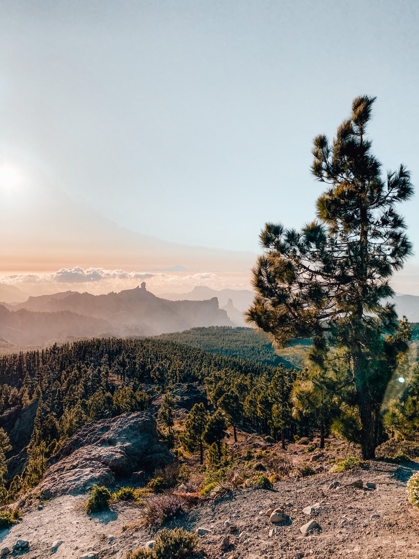 Pico de Las Nieves gran canaria